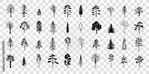 Foto Collection Of Black And White Tree Silhouettes On Transparent Background