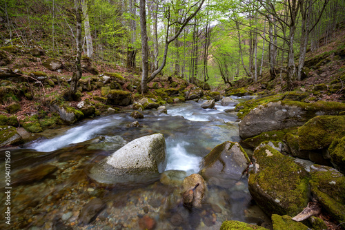 Beautiful mountain river flowing through a green forest with mossy rocks and long exposure water effect