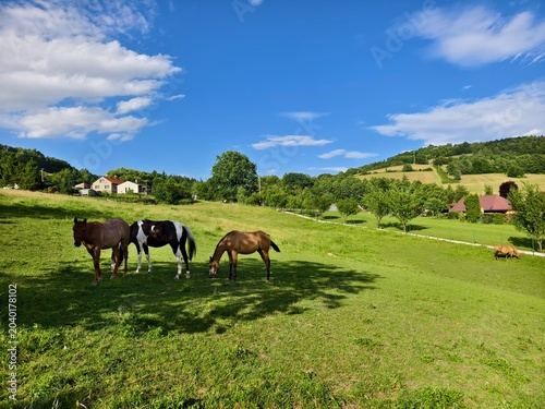 Metylovice village and three horses grazing