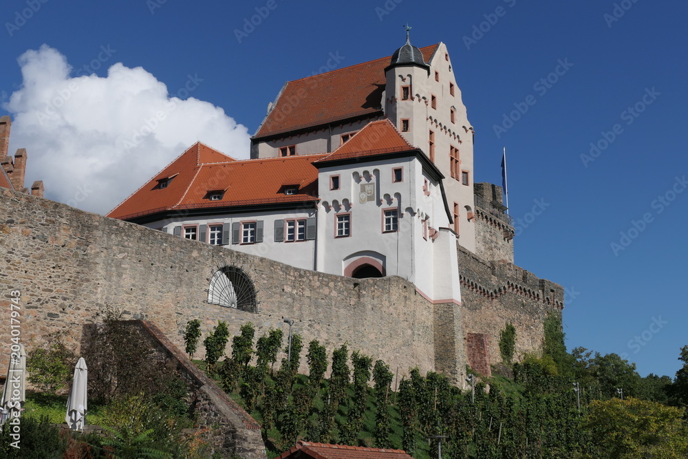 Fototapeta premium Burg Alzenau