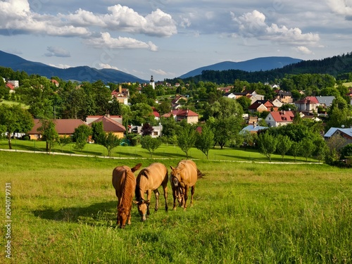 Metylovice village and three horses grazing