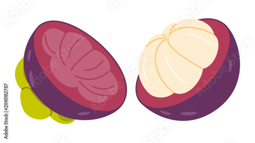 Fotografi Tropical mangosteen fruit broken in two halves vector illustration