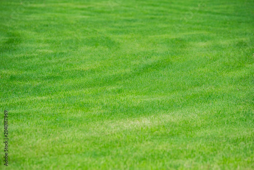 Fotografie Perfectly mowed green lush grass lawn at public city park, seasonal landscaping works and nature endorsement in gardens, ideally groomed fresh soccer field, freshly cutting natural grass meadow