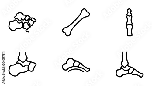 Bild auf Leinwand Foot Bone Anatomy Icons, Skeletal Structure Vector Set, Medical Illustration Ele