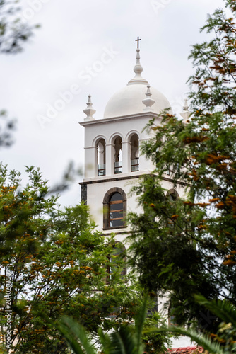 The beautiful white bell tower and dome of a historic colonial-style church peeking through lush green tropical tree branches under an overcast sky.