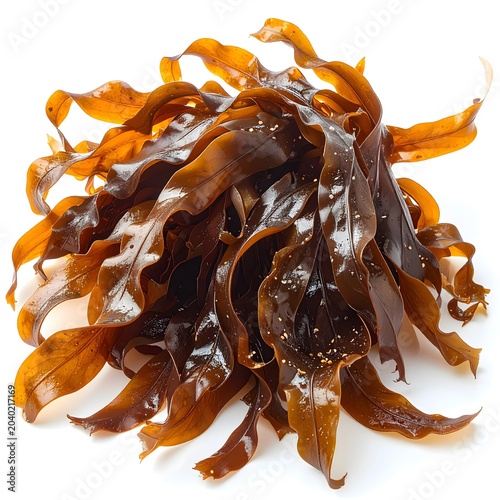 Kelp (Laminaria) • Medicinal. Algae isolated 