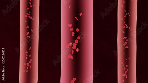 Tableau sur toile Red Blood Cells Flowing Through Arteries and Veins – Human Body Blood Circulatio