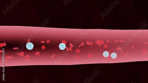 Canvastavla Human circulatory system, including red and white blood cells - 3D illustration of the circulatory system in medicine