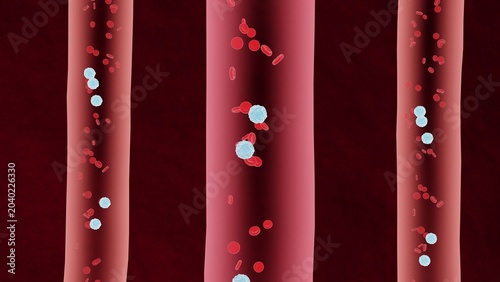 Bild auf Leinwand Blood Vessels with Erythrocytes and Leukocytes – Microscopic Medical Science Sce
