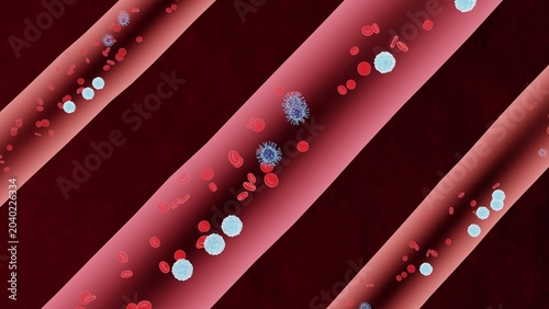 Bild auf Leinwand Microscopic View of Erythrocytes, Leukocytes and Virus in Circulatory System – 3