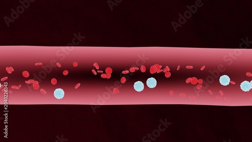 Red Blood Cells and Immune Cells in Blood Flow – Human Circulation Concept Illustration