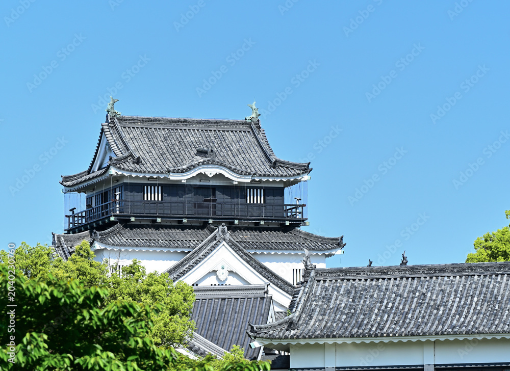 Fototapeta premium 岡崎城 竹千代通りからの眺め 愛知県岡崎市