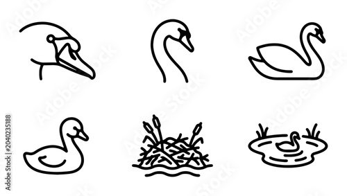 Cuadro en lienzo Elegant Swan Icons, Waterfowl Vector Set, Graceful Bird Illustrations, Pond Life
