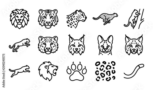 Photography Wild Cat Icons Set: Big Feline Faces, Running Animals, Paw Prints, Vector Graphi