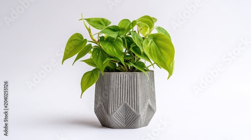 A vibrant green heartleaf philodendron plant in a modern geometric concrete pot.