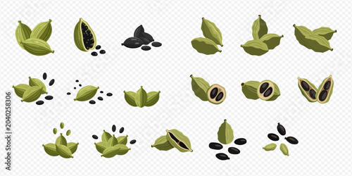 Bild auf Leinwand Green Cardamom Pods and Seeds Collection for Cooking and Spices.