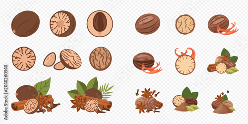 Foto Nutmeg and Mace Spice Collection: Whole, Halved, and Ground Varieties with Aromatic Herbs and Cinnamon Sticks