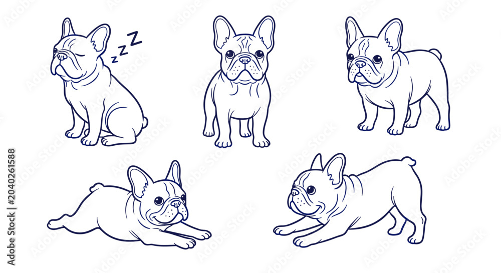 Obraz premium Set of five line art french bulldog illustrations in various poses, sleeping, sitting, playful, and alert, on a white background