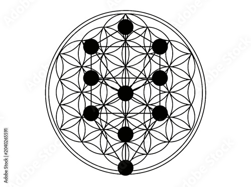 Bild auf Leinwand Sacred Geometry Tree of Life and Flower of Life Esoteric Symbol