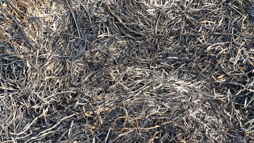 Texture of burnt rice husk ash and black charcoal residue (2)