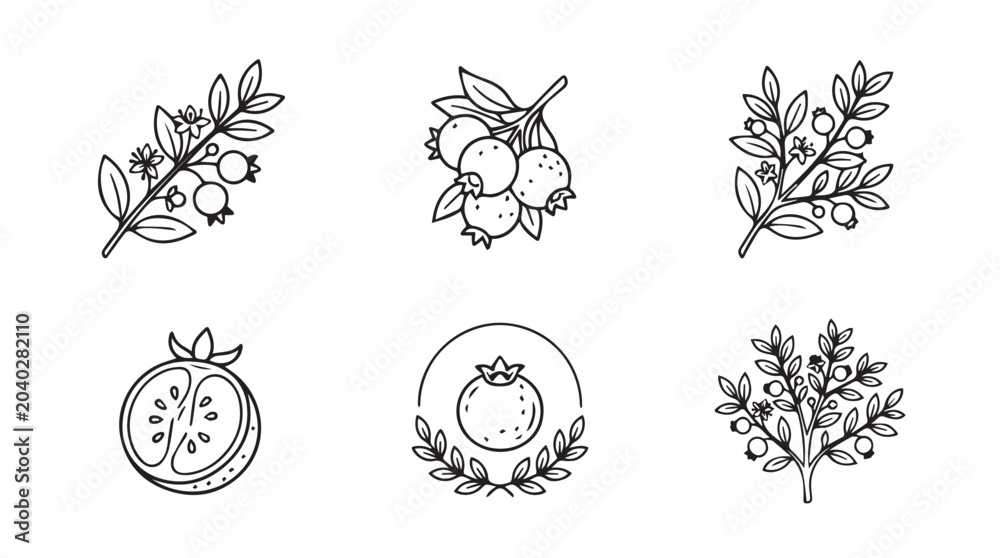 Fototapeta premium Hand drawn pomegranate fruit and branch illustrations with pomegranate botanical monochrome collection illustration vegetarian agriculture