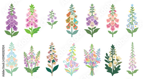 Quadro su tela Collection of colorful digitalis flowers in various pastel shades, isolated on a white background