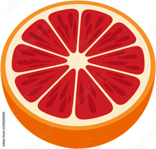 Blood Orange Half Fruit Vector Illustration