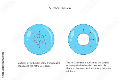 Surface Tension. Cohesive Force at Liquid Surface Explained.