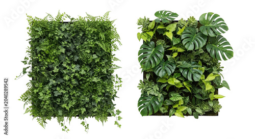 Obraz na płótnie Vertical wall greenery planters with dense lush leaf arrangement