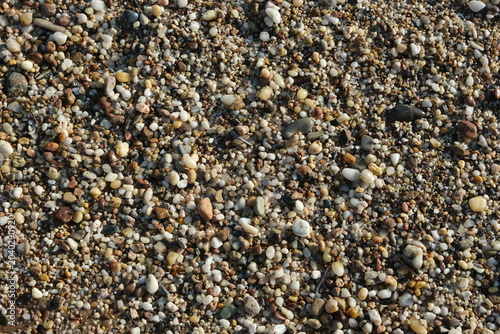 small pebbles scattered on sandy ground by the beach during daylight hours in a coastal area