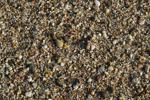 small pebbles scattered on sandy ground by the beach during daylight hours in a coastal area