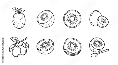 Fresh kiwi fruit slices and whole fruits hand drawn illustration set with botanical vegetarian ingredient tropical isolated collection monochrome engraving culinary refreshing