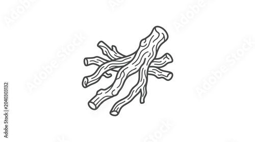 Dried licorice root pieces in minimalist black line art.