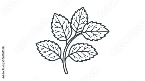 Fotografía Peppermint leaf sprig aromatic herb botanical icon