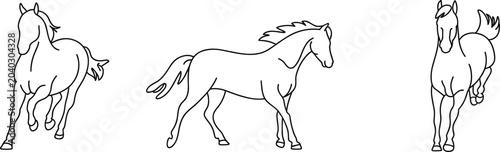 Bild auf Leinwand A professional minimalist black vector icon set featuring horses running and walking with line art designs in image_5a7cfd