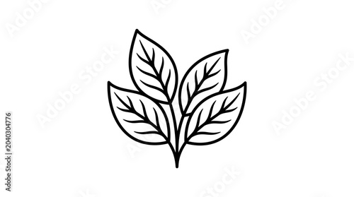 Three leaves on a stem line art illustration.