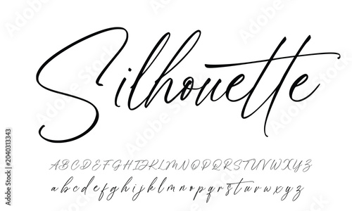  Script Brush Font Type Font lettering handwritten 