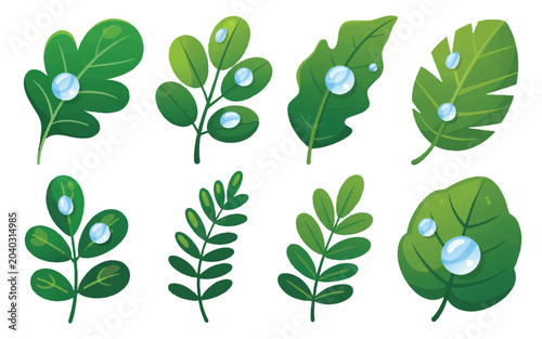 A collection of various green leaves with water droplets on them