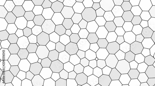 Minimalist geometric pattern of irregular black and white polygons.