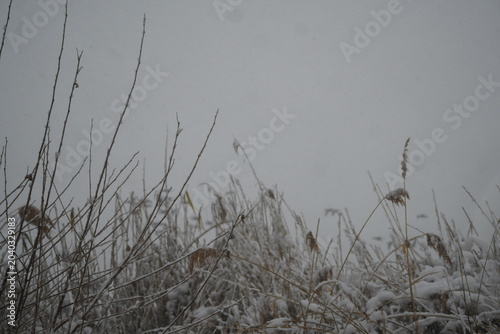 Snow Covered Urban Winter Scene