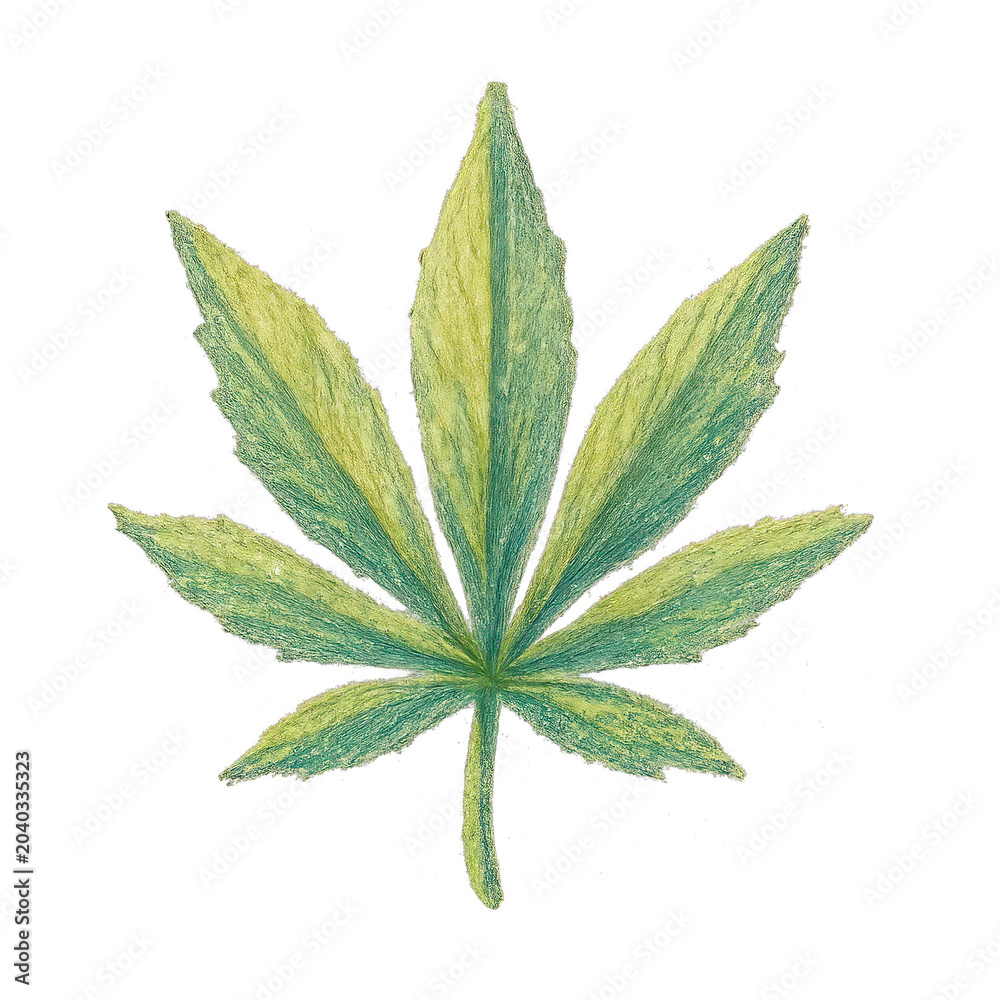 Obraz premium PNG Hand-drawn green leaf illustration.