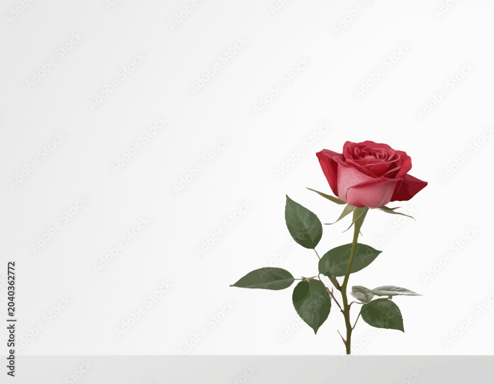 Fototapeta premium Pink rose with white beautiful flower