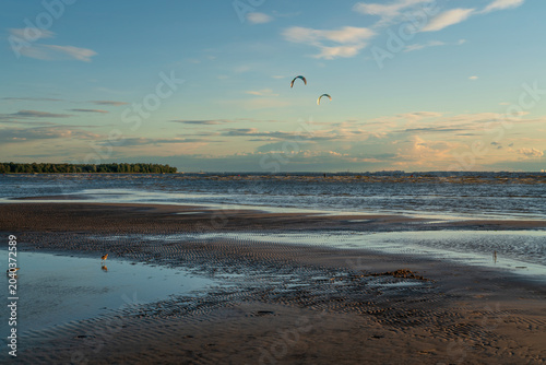 Sandy beach on the Baltic Sea coast and kitesurfing kites in the sky on a sunny summer day, Sestroretsk, Kurortny District, Saint Petersburg, Russia