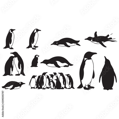 Penguin silhouette vector set, black and white emperor penguin icons, arctic flightless bird collection for nature logos and winter designs