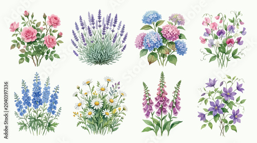 Vintage watercolor garden flowers collection, 8 botanical floral illustrations with roses and lavender, elegant hand drawn summer blossoms vector set isolated PNG with Transparent Background