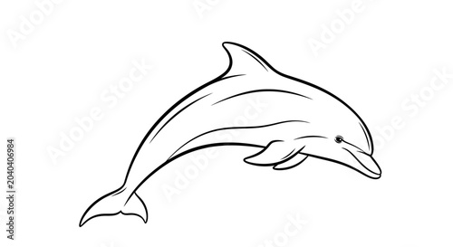 Photos Dolphin Swimming in Ocean Water.