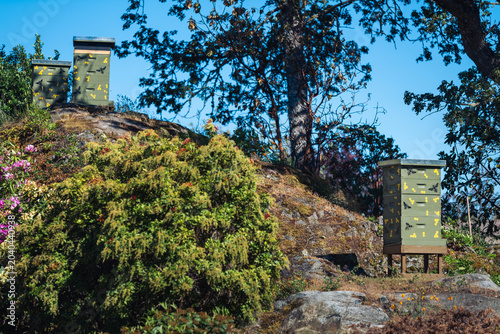 Beehives in a Natural Landscape