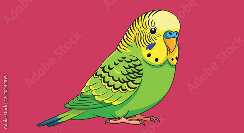 Fotografie Cartoon budgie bird illustration isolated on pink background, graphic element