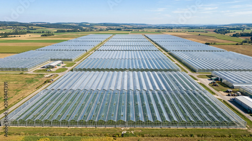 Tableau sur toile Aerial drone view of massive greenhouse for growing vegetables