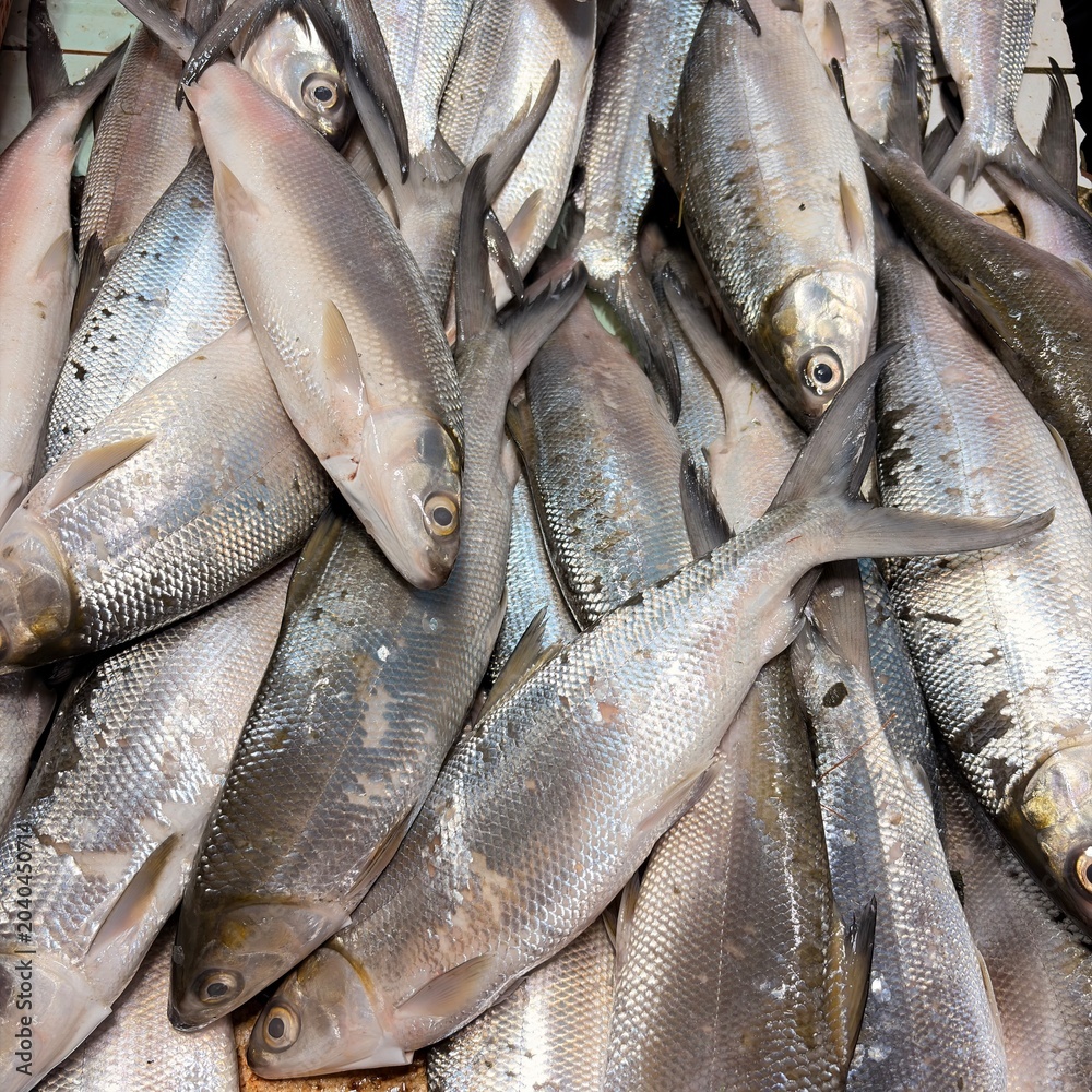 Obraz premium Fresh Milkfish Displayed at Traditional Seafood Fish Market